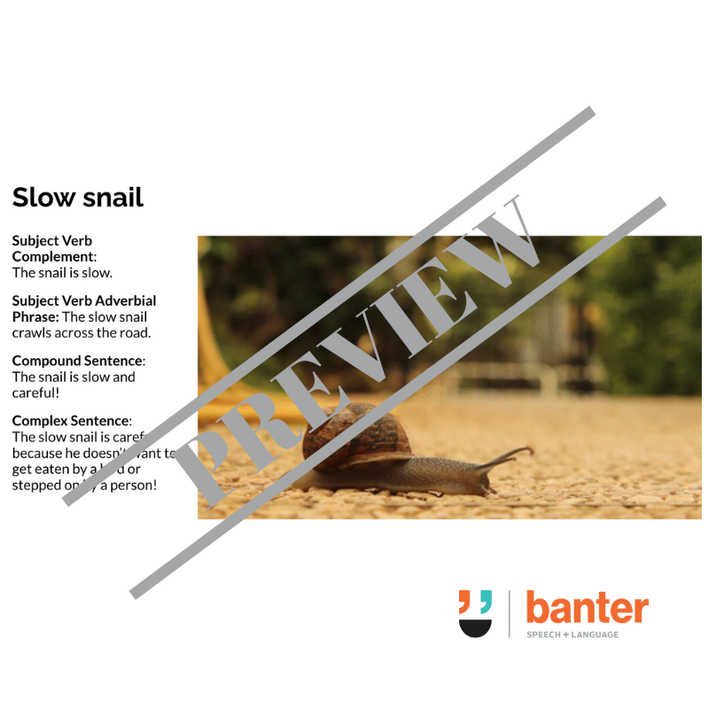 Banter Oral Language Workbook: Early Concepts