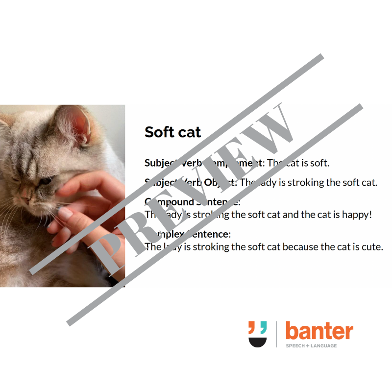 Banter Oral Language Workbook: Early Concepts